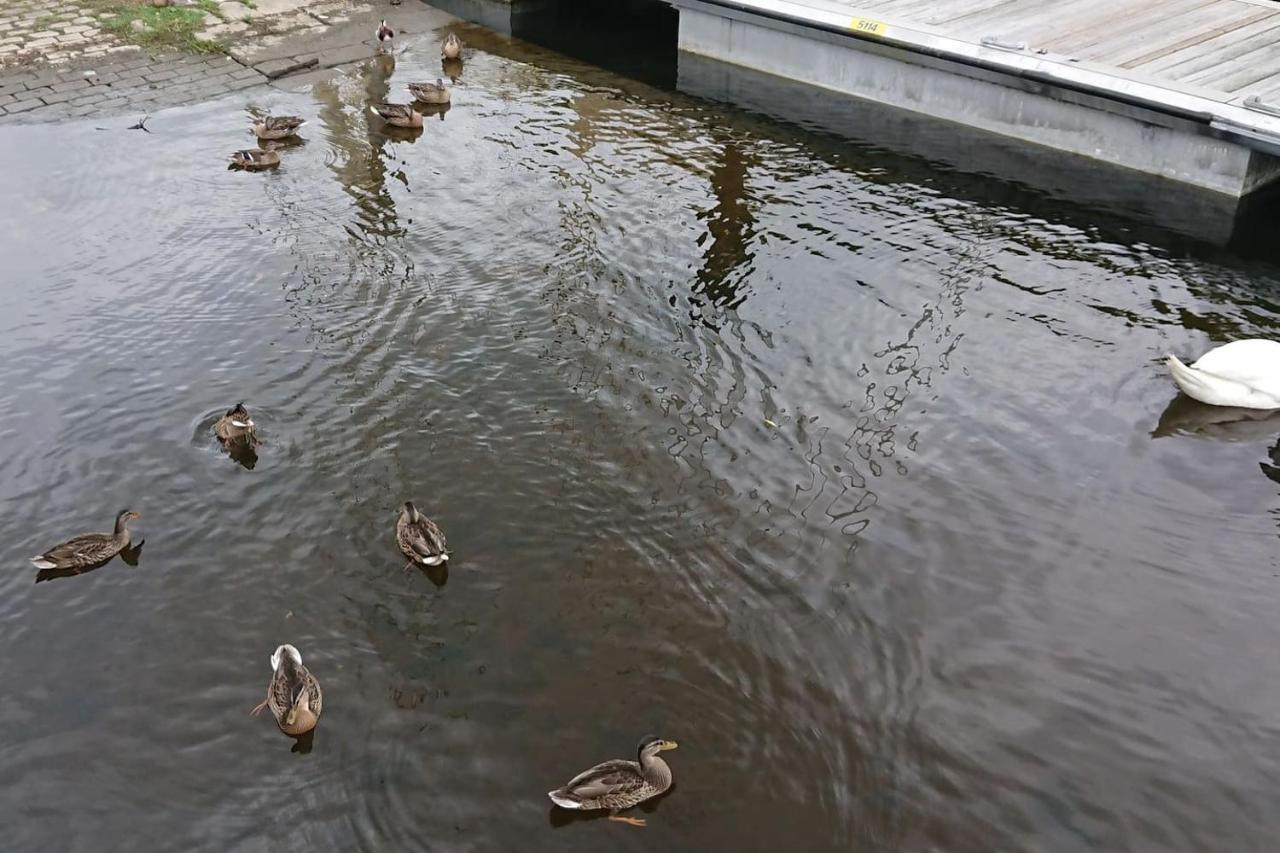 Quartier Calme Sur Le Port De Plaisance Et Le Gr34 Διαμέρισμα Plérin Εξωτερικό φωτογραφία